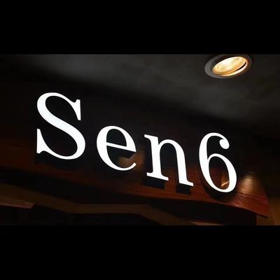 Acrylische reclame 3D Led Plastic Luminous Characters voor Frontlit Word Logo Sign