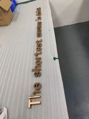 Goud Advertentie 3D LED Elektronische borden voor winkels Logo Lichtbord Display Promotie