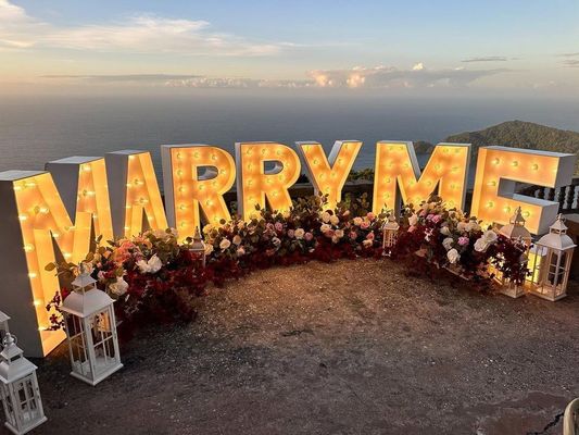 Gepersonaliseerd Will You Marry Me Marquee Light Up Letters Neon Sign voor huwelijksvoorstel
