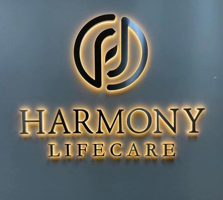 Office Wall Letters Logo in 3D LED voor Custom Metal Business Advertising Signage
